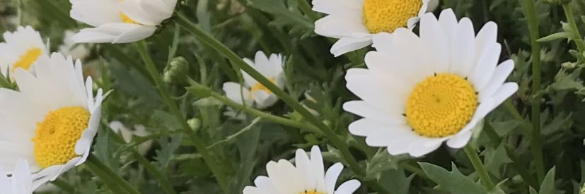 n__aaaaa77's profile banner image