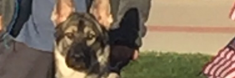 Hinkle_2016's profile banner image