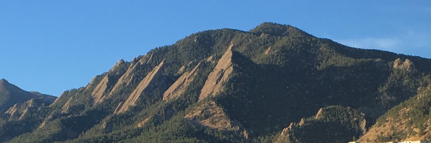 Shannon Maier banner