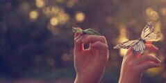 MariaJosGallard's profile banner image