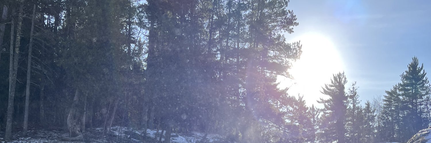 lil_podd's profile banner image