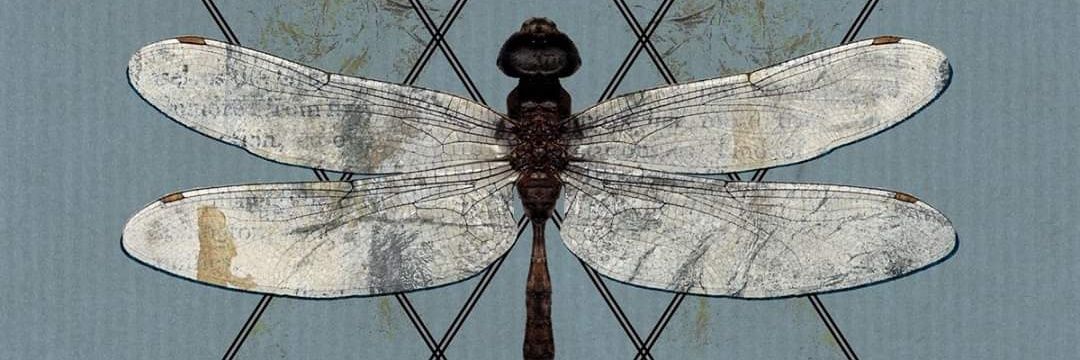 van_von_vulkvan's profile banner image