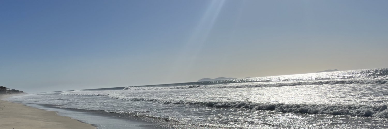 Trilllinnie's profile banner image