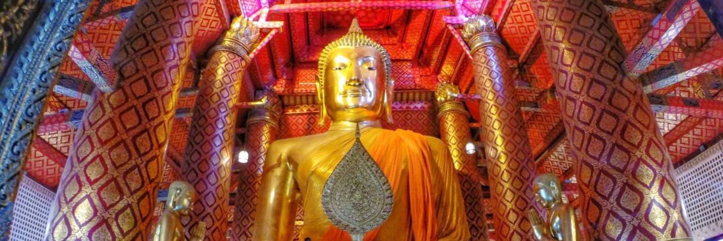 Beatriz Andres banner