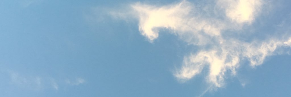 susussushi's profile banner image