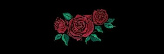 AnaMaria_95's profile banner image
