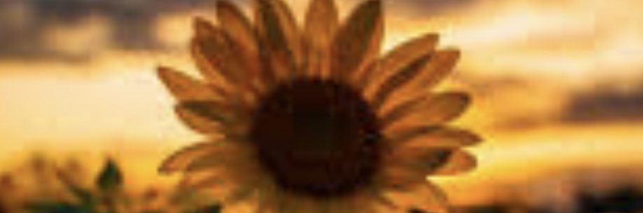 cheneelynn's profile banner image