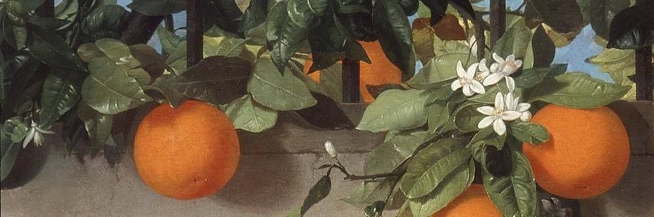 kayluhhhdunphy's profile banner image