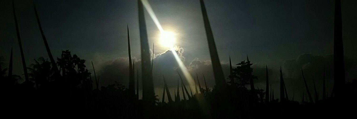 NenqNenq's profile banner image