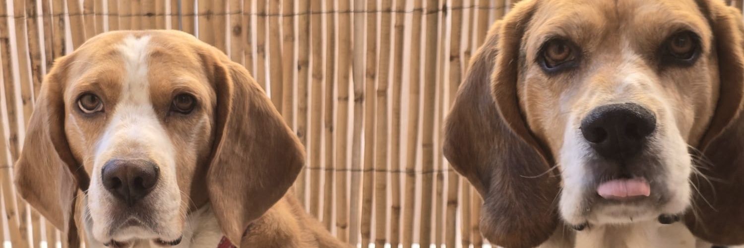 drwill88's profile banner image