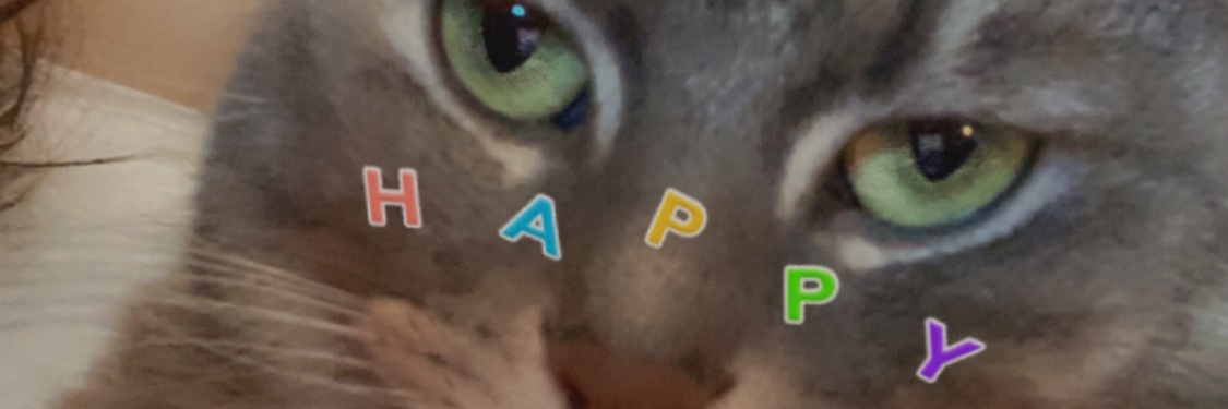 CASHM0N3YYY's profile banner image