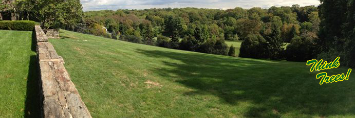 Shreiner Tree Care banner