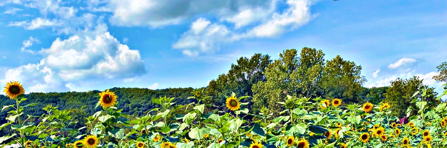 HighImRen's profile banner image