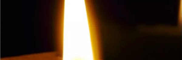 eliaslevyb Profile Banner