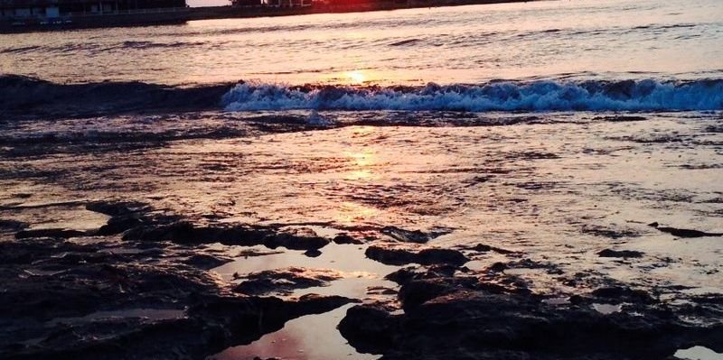 Noelia Fernandez banner