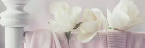 skyflyfor's profile banner image