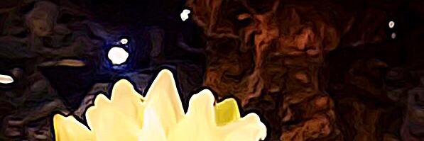 Everyday_Teaist's profile banner image