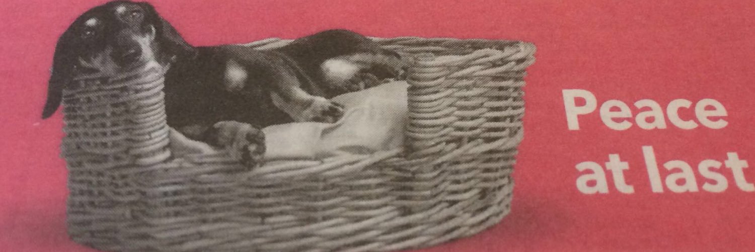 SBranston's profile banner image