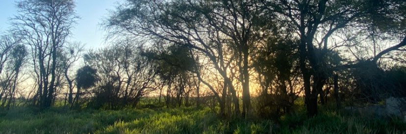 ColaioJuarez's profile banner image