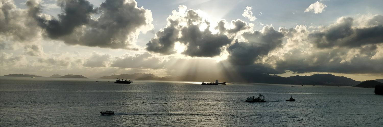 MICHAEL G IRWIN banner