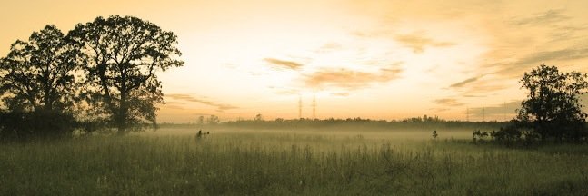 AhFuNggg's profile banner image