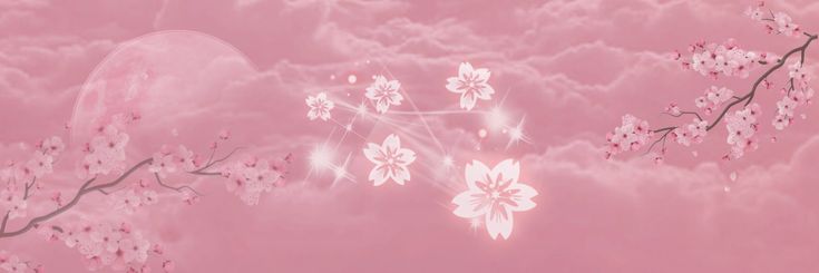 MCBerga's profile banner image