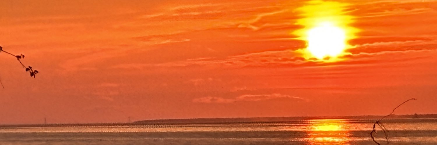 itsmecarak's profile banner image