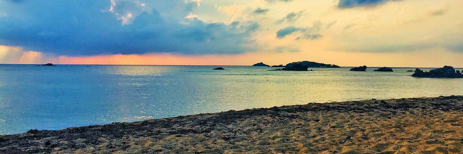 nadeenbarros's profile banner image