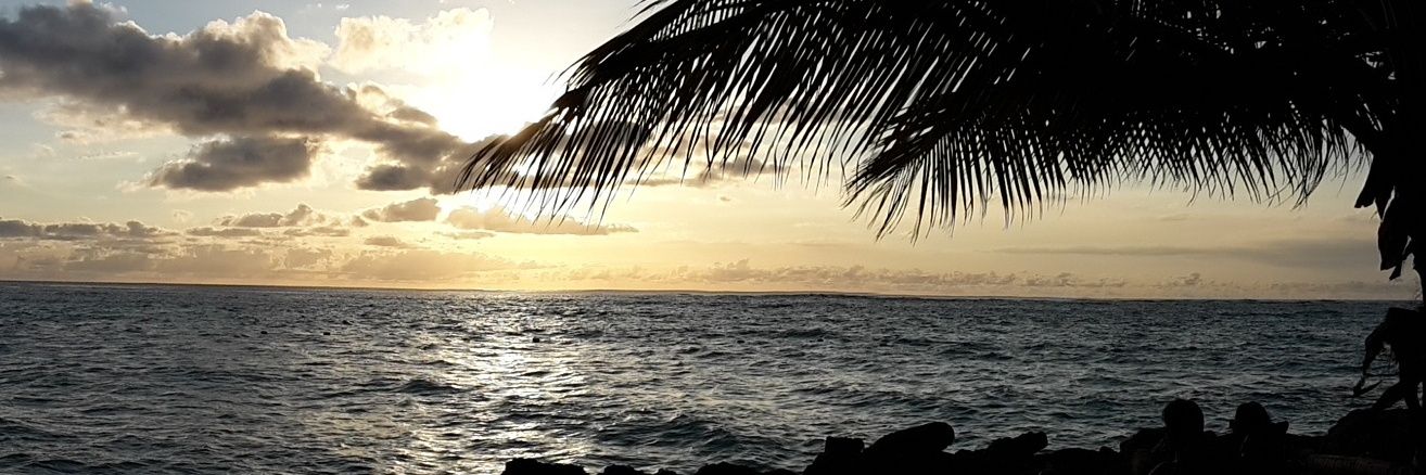 the_kiel's profile banner image
