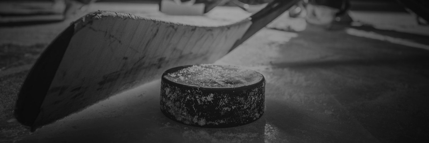 Ashley Duguay banner