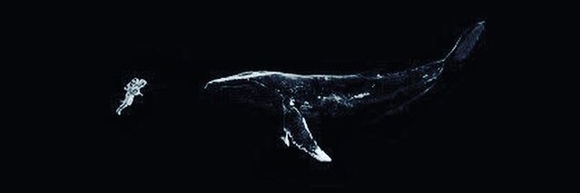 LexBoomm's profile banner image