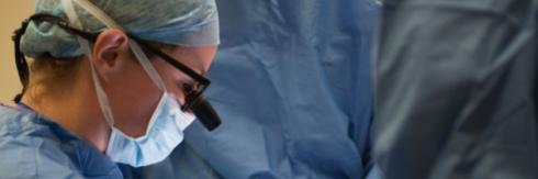 Barbara Jemec banner