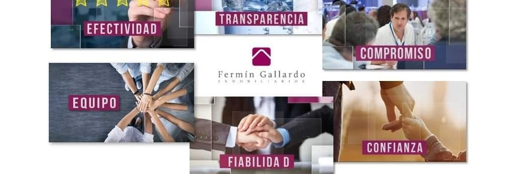 fermingallardom's profile banner image