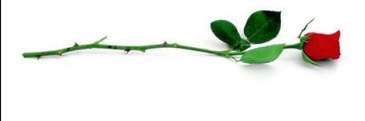 mvbhoir's profile banner image