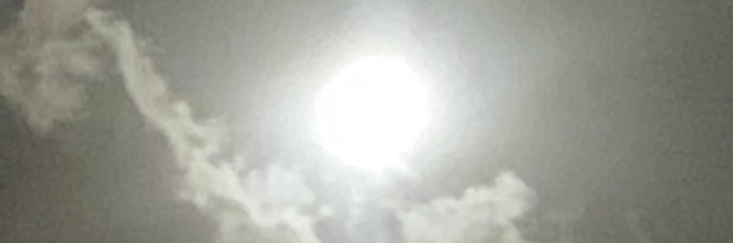mojtabapashaee's profile banner image