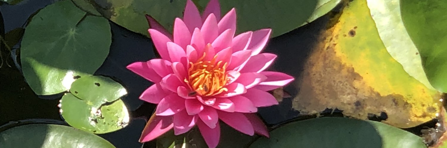mattyjjenson's profile banner image