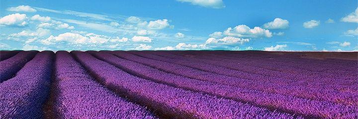 bdn987's profile banner image