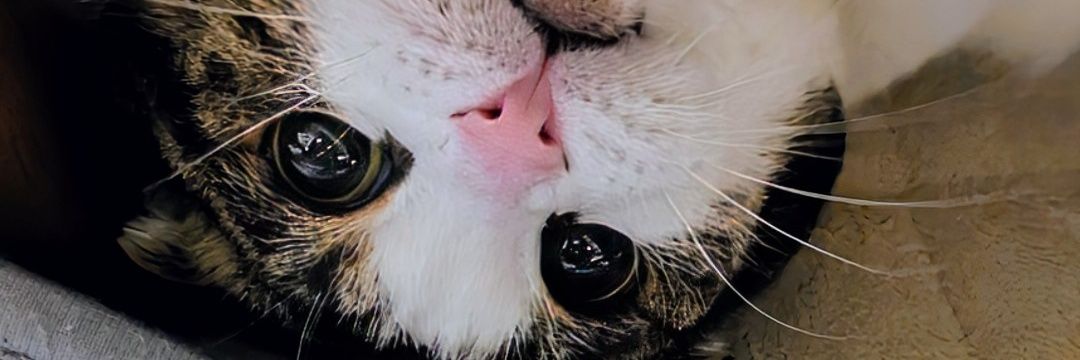 17party's profile banner image