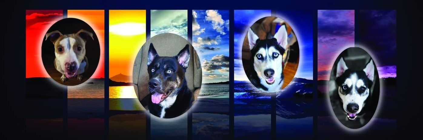 tu_chula's profile banner image