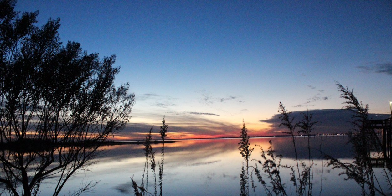 Sonya Yates, CALT banner