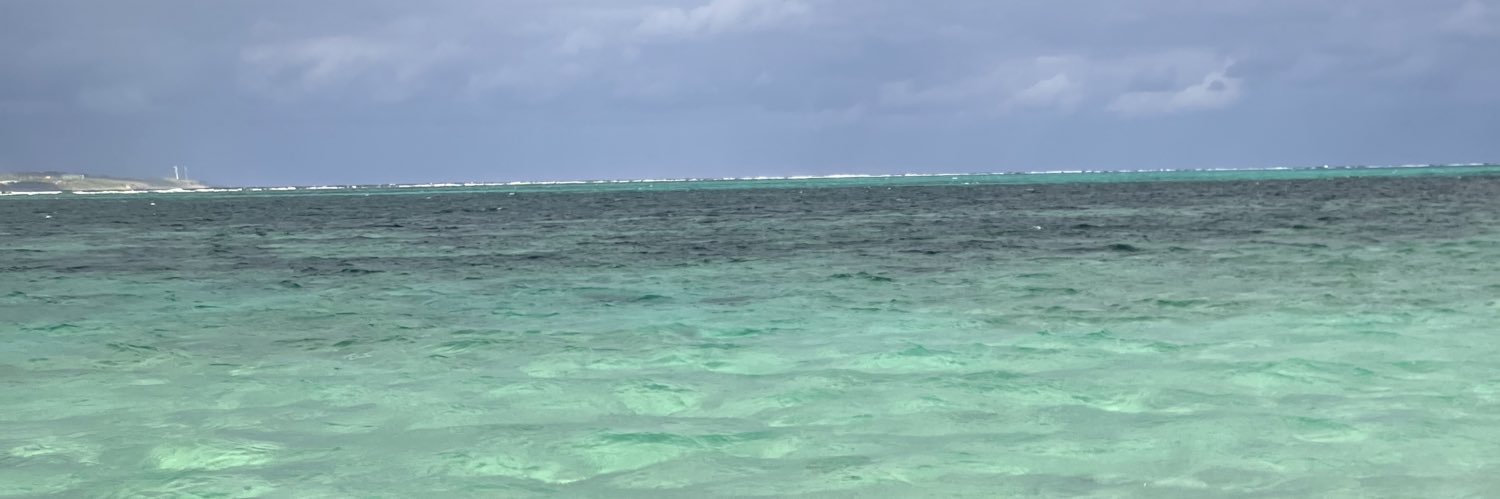 moimoi9p's profile banner image
