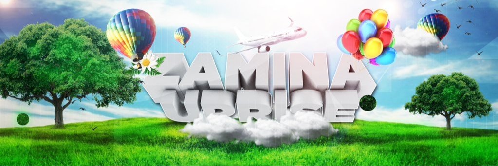 TheRealZamina's profile banner image