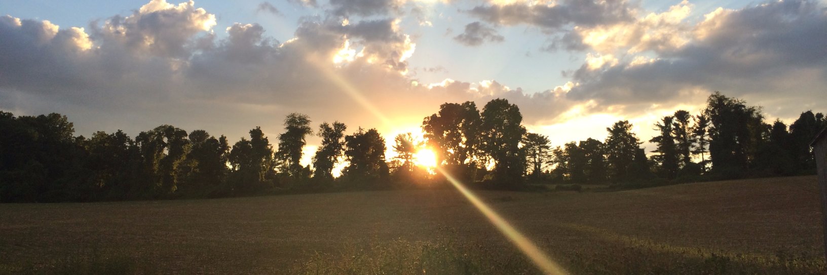 BethPoggioli's profile banner image