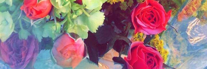 Darrrelll6's profile banner image