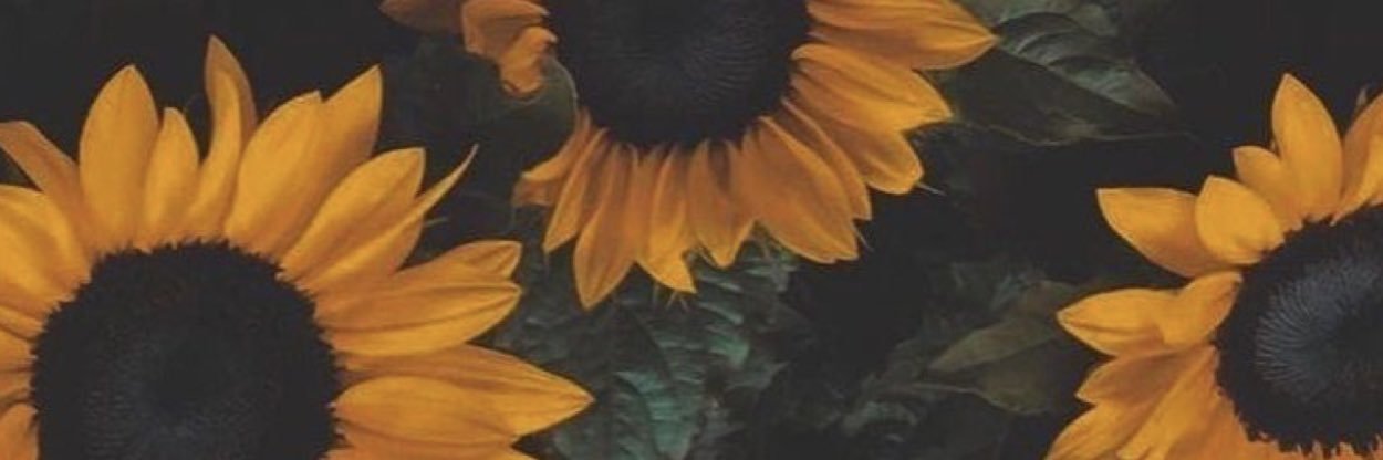 LivRoses's profile banner image