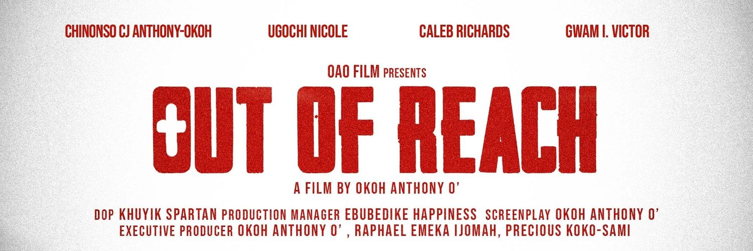 Director Tee of Teesside 🇳🇬🇬🇧 banner