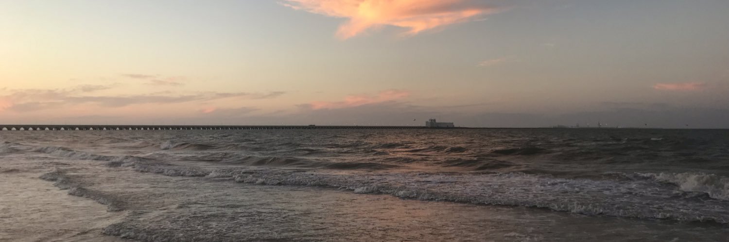 AnnelRuizP's profile banner image