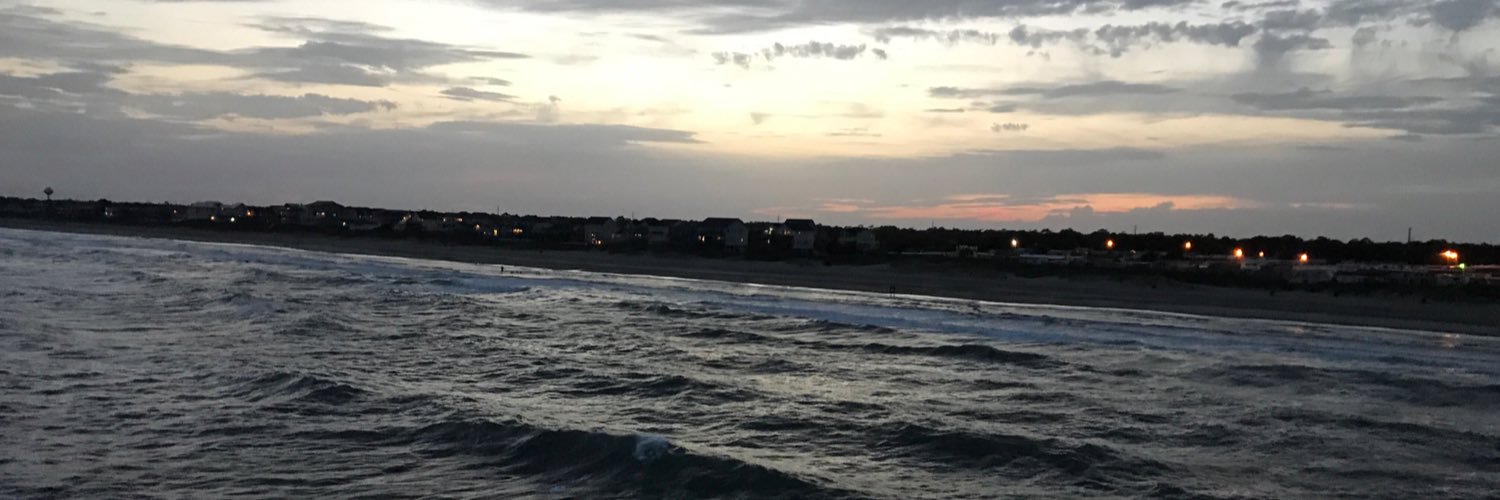 kaitlin banner