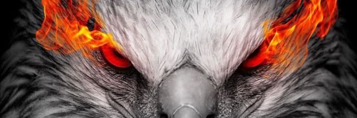 Newes5xD banner