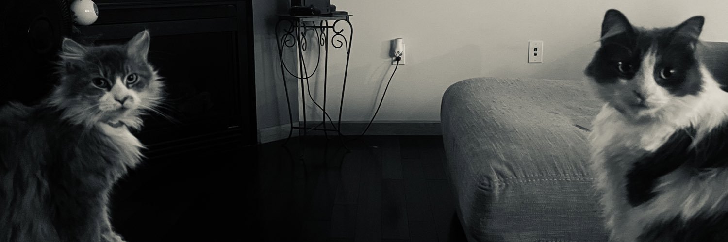 OleBoyAdam's profile banner image